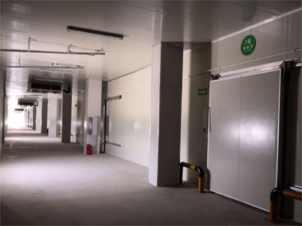 建一個(gè)5000立方香蕉冷藏冷庫大概要多少錢？