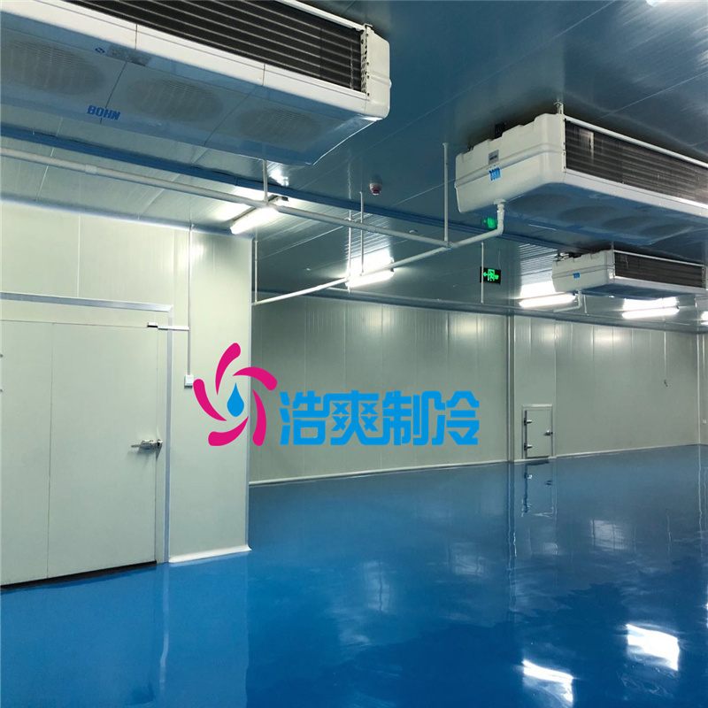 建造大型醫(yī)療冷藏庫所需要的費用價格是多少？