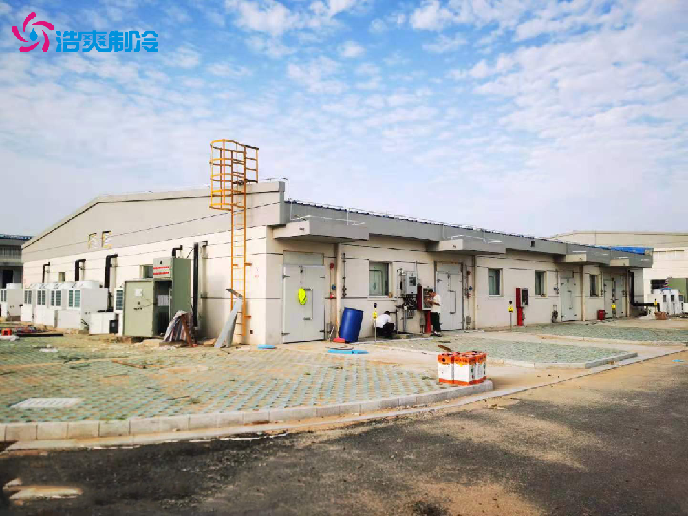 工業(yè)防爆冷庫 實(shí)驗(yàn)室化工超低溫 冷藏庫建設(shè)安裝設(shè)計(jì) 安裝
