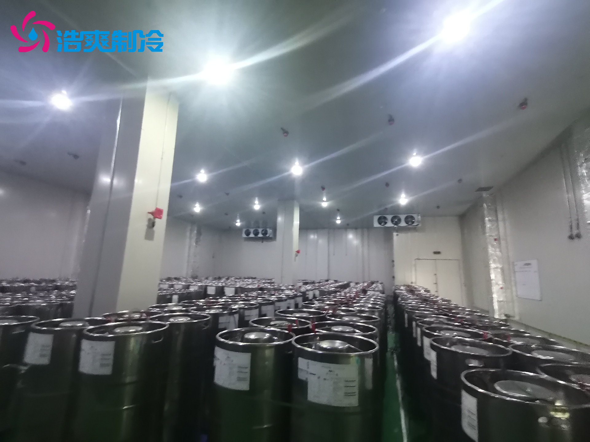 工業(yè)防爆冷庫 實(shí)驗(yàn)室化工超低溫 冷藏庫建設(shè)安裝設(shè)計(jì) 安裝