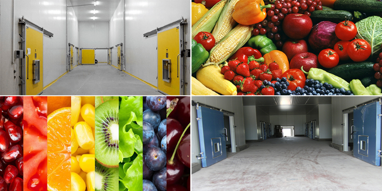 保鮮冷庫(kù)和氣調(diào)冷庫(kù)哪個(gè)儲(chǔ)存水果效果較好? 保鮮冷庫(kù)和氣調(diào)冷庫(kù)哪個(gè)儲(chǔ)存水果效果較好?