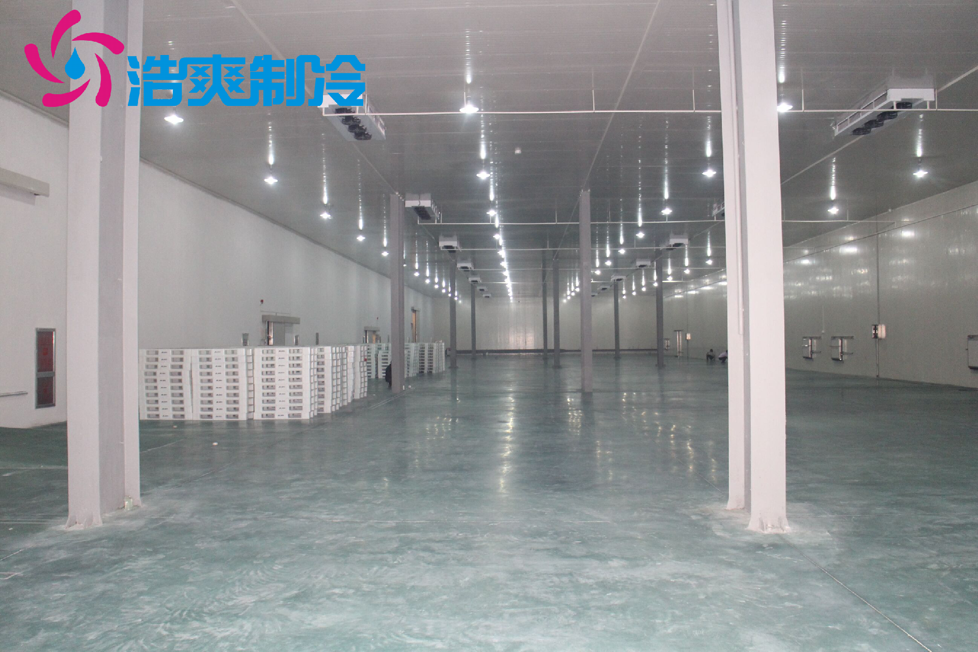 大型海鮮冷庫設計方案介紹 大型海鮮冷庫設計方案介紹