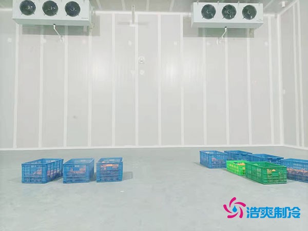 200噸蔬菜保鮮冷庫造價多少錢？需要多大面積？