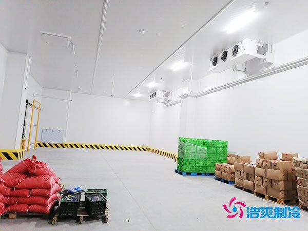 200噸蔬菜保鮮冷庫造價多少錢？需要多大面積？