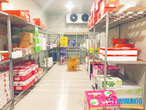 5噸水果需要多大冷庫(kù)?答案出乎意料!