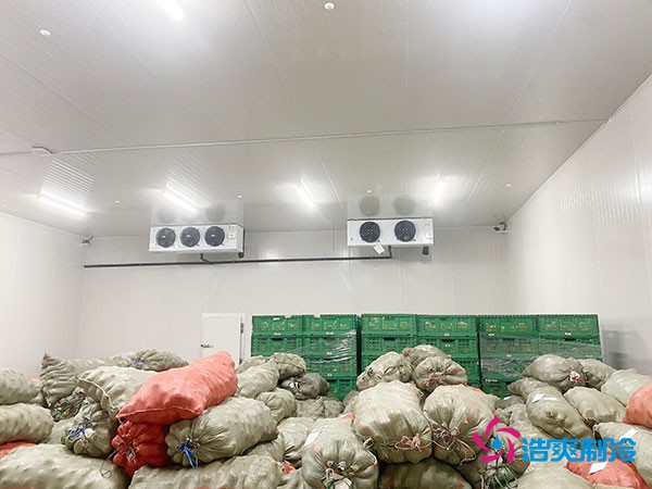 5噸水果需要多大冷庫(kù)?答案出乎意料!