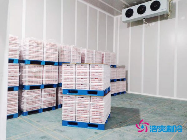 上海市青浦區水果保鮮冷庫安裝價格概覽