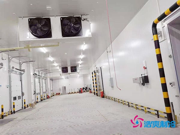 建設(shè)冷凍庫每平米造價(jià)多少錢？冷凍庫造價(jià)關(guān)鍵因素解析