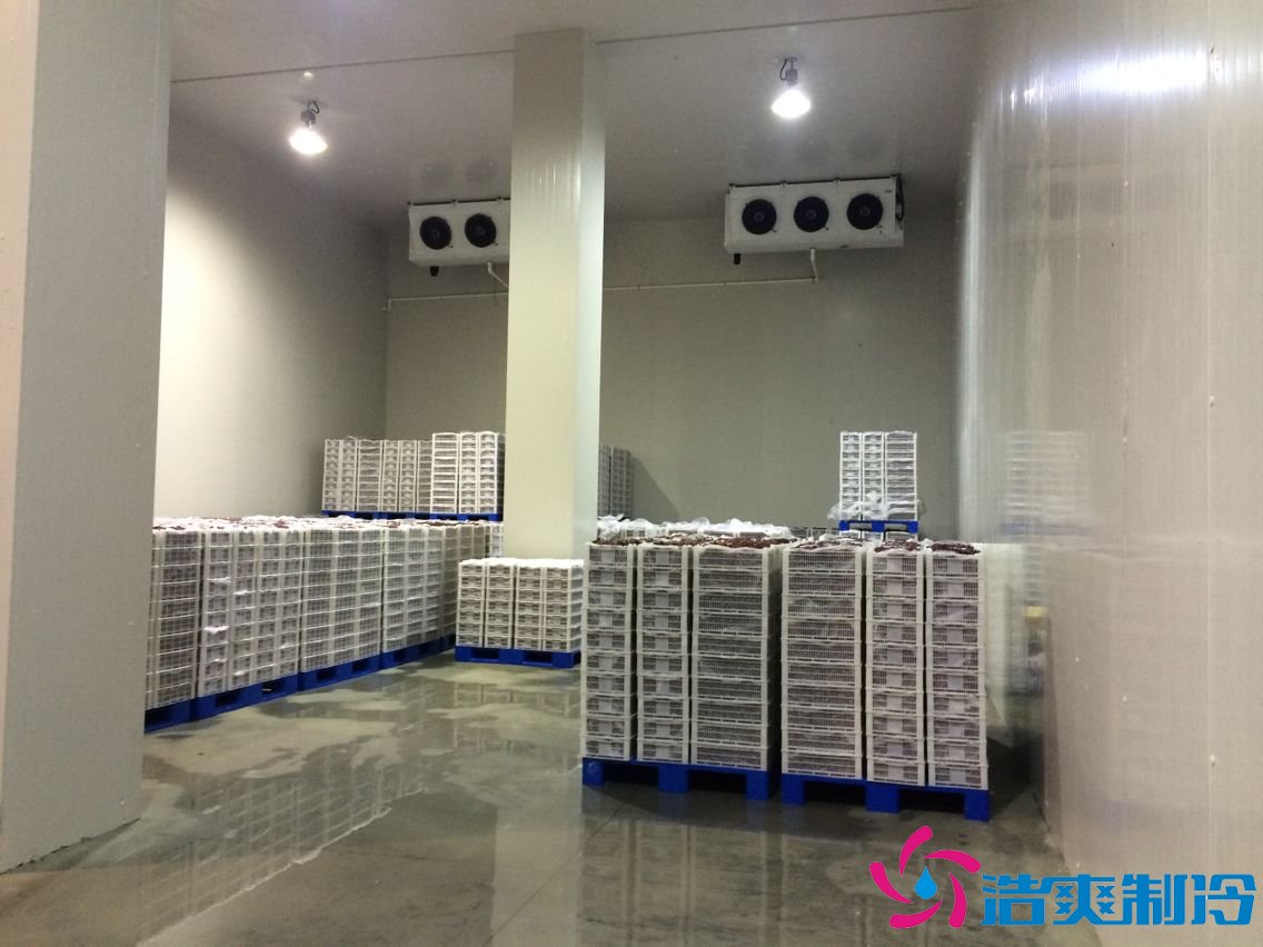 上海建1000㎡茶葉冷庫（冷藏、冷凍庫倉庫）安裝預算多少錢