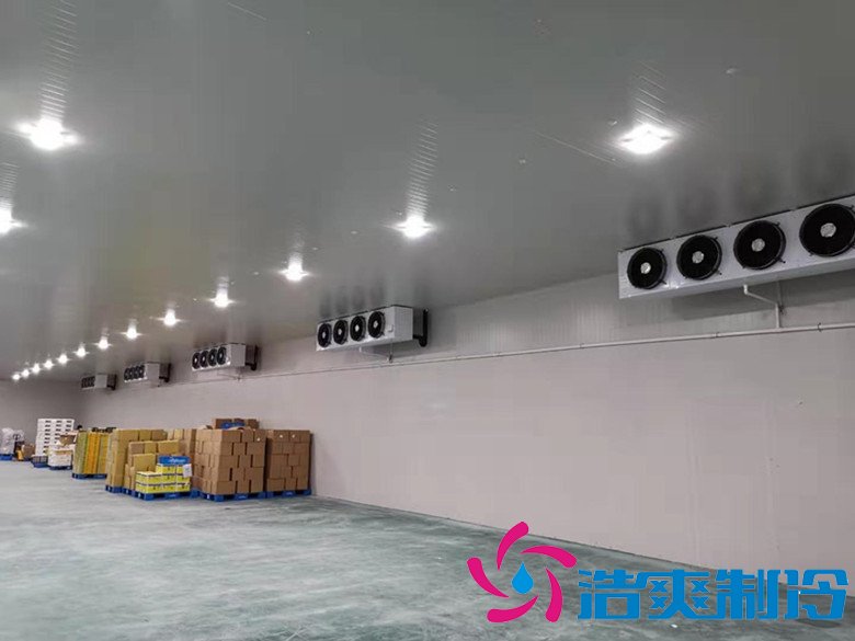 大型生鮮配送冷庫選址及(水產冷凍庫)設計方案報價