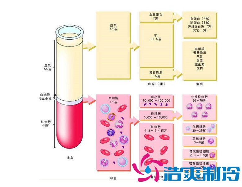 -30℃~-80℃血漿蛋白低溫冷凍庫規(guī)范,冷庫安裝價(jià)格