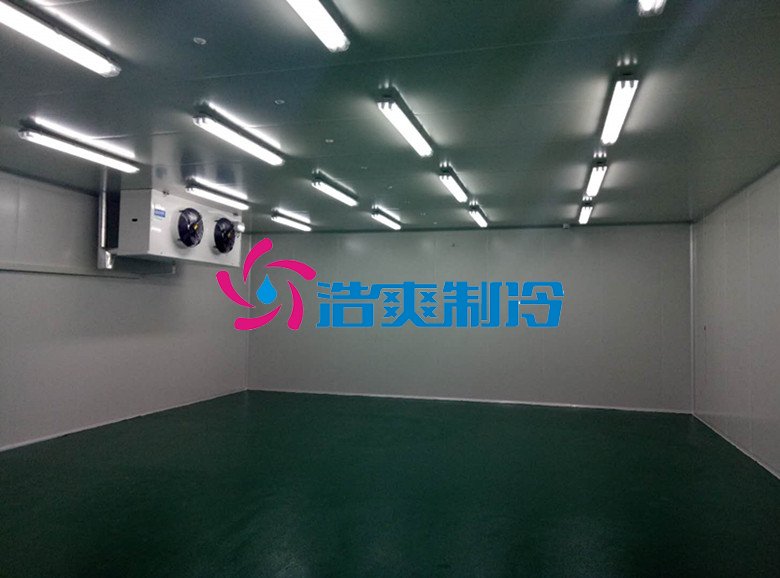 浩爽制冷,醫藥冷庫,藥品冷庫